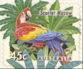 Scarlet Macaw (Ara macao)