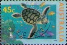 Australian Flatback Turtle (Chelonia depressa)