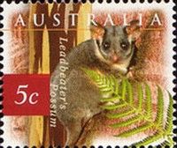Leadbeater's Possum (Gymnobelideus leadbeateri) - (8th Repr…