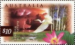 Kakadu Wetlands, Great Egret (Ardea alba) - (1st Reprint - …