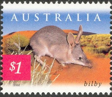 Greater Bilby (Macrotis lagotis) 1st Print - 1 Koala
