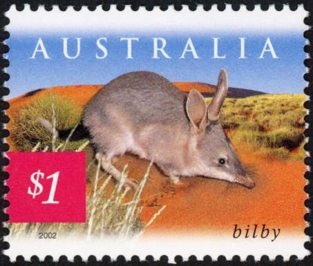 Greater Bilby (Macrotis lagotis) - (2nd Reprint - 2 Koalas)