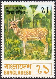 Spotted Deer (Axis axis)