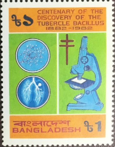 Discovery of Tubercle Bacillus