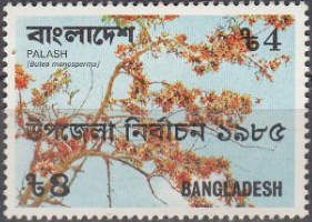 Palash (Butea monosperma)