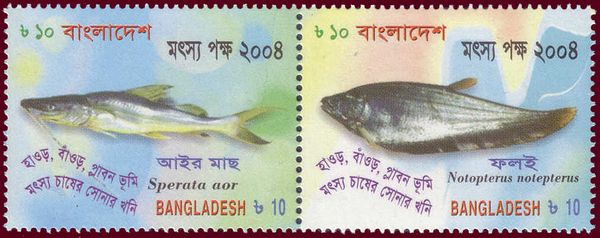Long-whiskered Catfish (Sperata aor)