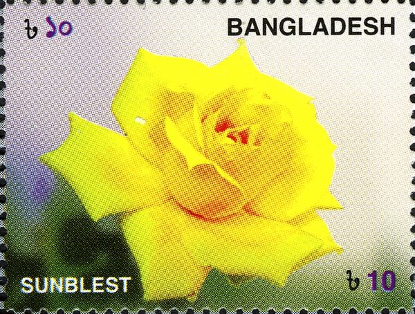 Roses - Sunblest