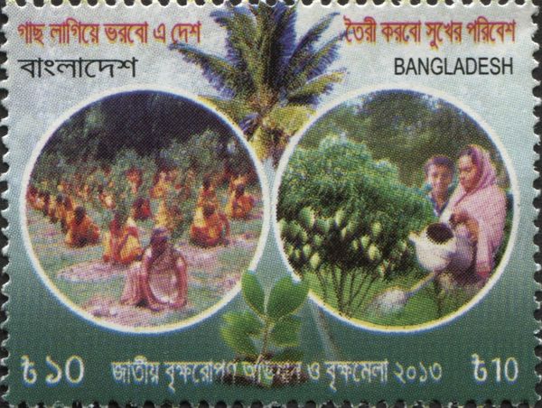 National tree plantation campaign 2013