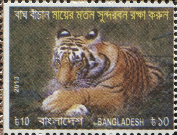 Bengal Tiger (Panthera tigris tigris)