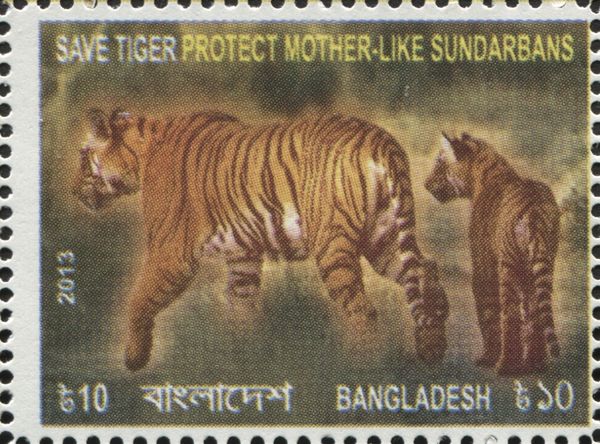 Bengal Tiger (Panthera tigris tigris)