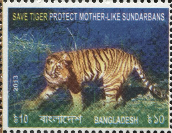 Bengal Tiger (Panthera tigris tigris)