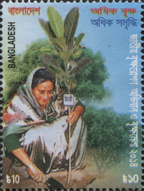 Tree Plantation Campaign