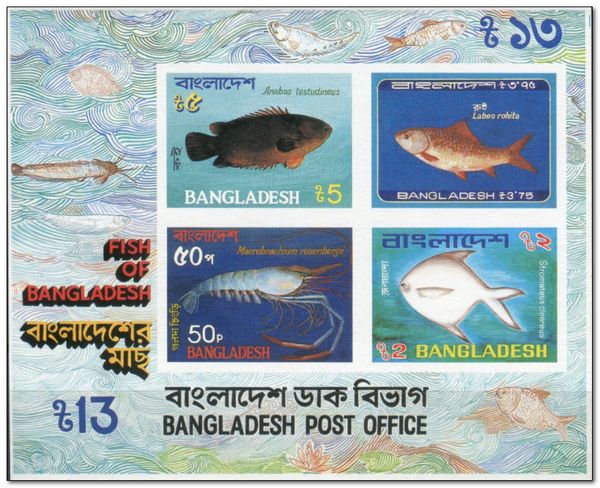 Fish of Bangladesh