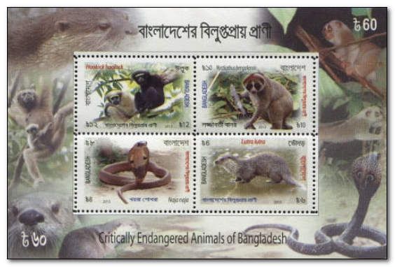 Critically Endangered Animals of Bangladesh (Imperforate)