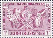 Food & Agricultural Organization (F.A.O.)