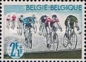 Road Race Finish
