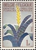 Flaming Sword (Vriesea splendens)