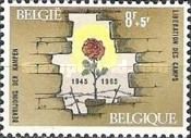 Rose in a Breach in a Wall