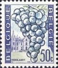 Grapes and Houses, Hoeilaart