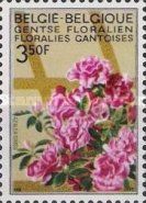 Azalea simsii