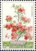Azalea japonica