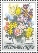 Spring Flowers