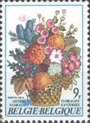 Autumn Flowers