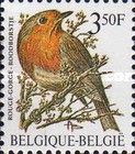 European Robin (Erithacus rubecula)