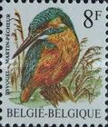 Common Kingfisher (Alcedo atthis)