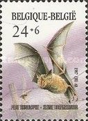 Lesser Horseshoe Bat (Rhinolophus hipposideros)
