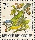 Eurasian Blue Tit (Cyanistes caeruleus)