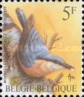 Eurasian Nuthatch (Sitta europaea)