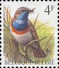 White-spotted Bluethroat (Luscinia svecica cyanecula)