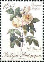 Promotion Philately - Rose "Bengale Desprez"