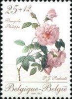 Promotion Philately - Rose "Bengale Philippe"
