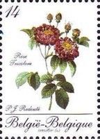 Stampexhibition BELGICA. Rose tricolore "P.J.Redoute"