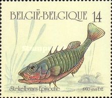 Three-spined Stickleback (Gasterosteus aculeatus)