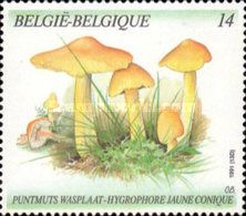 Persistent Waxcap (Hygrocybe acutoconica)