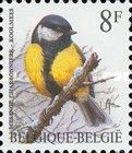 Great Tit (Parus major)