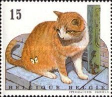 Red and White Cat