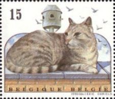 Silver Tabby Lying on Wall