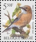 Eurasian Jay (Garrulus glandarius)