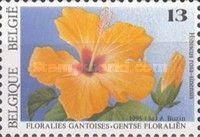 China Rose (Hibiscus rosa-sinensis)