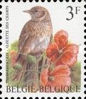 Eurasian Skylark (Alauda arvensis)
