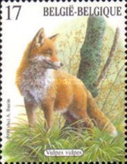 Red Fox (Vulpes vulpes)