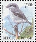 Great Grey Shrike (Lanius excubitor)