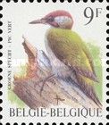 Eurasian Green Woodpecker (Picus viridis)