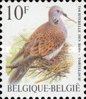 Turtle Dove (Streptopelia turtur)