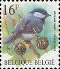 Coal Tit (Periparus ater)