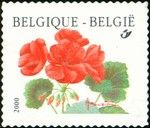 Pelargonium "Matador" Coil Stamp 2000